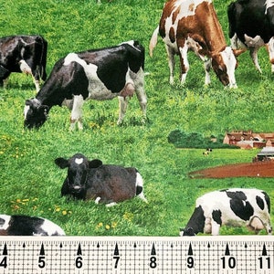 Elizabeth Studios Cows 337 Fabric by the Yard/Piece