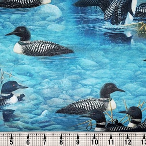 Quilting Treasures Lakeside Loons Scenic on Blue 1649-29699-B Tkanina cięta na wymiar//Sztuk