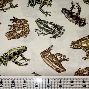 Kanvas Fabrics Tropical Rainforest Frogs 06500 Fabric by the Yard//Piece