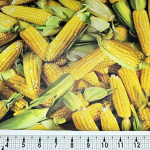 Windham Fabrics A La Carte Corn 54402D-1 Fabric by the Yard//Piece