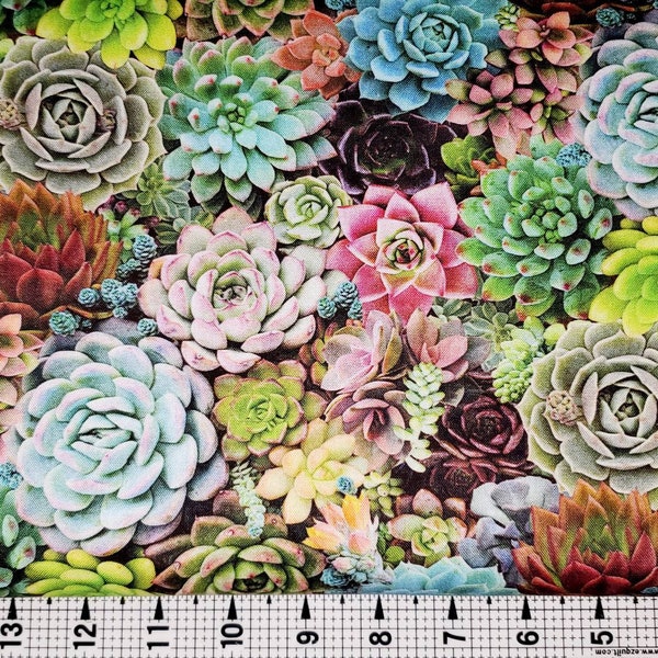 Elizabeth Studios Succulent Charm 598 Fabric by the Yard/Piece