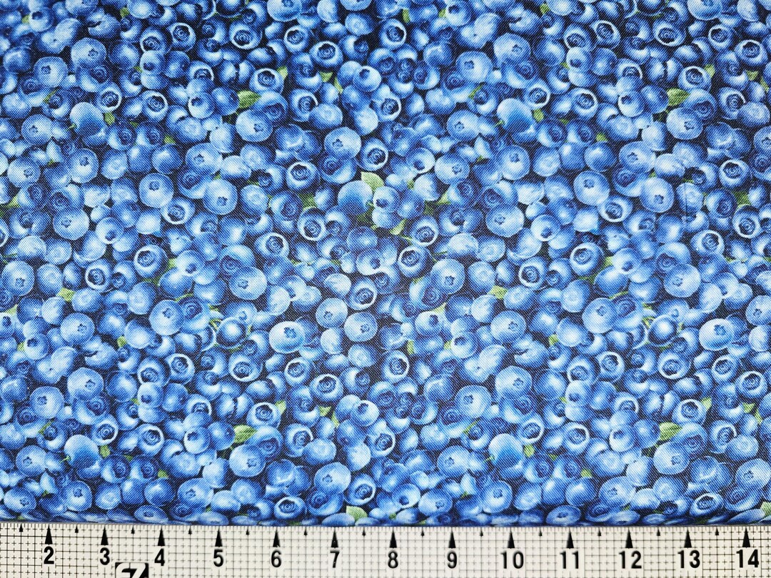 Timeless Treasures Packed Blueberries CD1748 Fabric by the Yard//piece ...