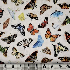 Elizabeth Studios Butterflies and Moths 9802 Cream Fabric by the Yard//Piece