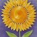 Denise Bradley