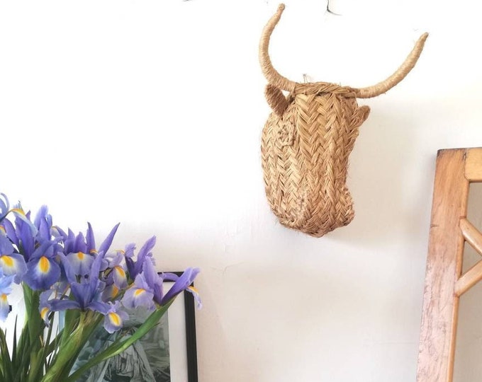 Bull Head in Esparto Grass Wall Decor Wall Mount Home Decor Etsy