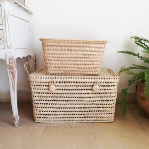 Toy chest 23 in + 1 toy basket - storage trunk