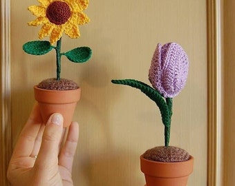 Plant (sunflower/tulip)