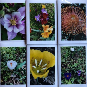 Flower Greeting Cards set of 6 Flowers 2