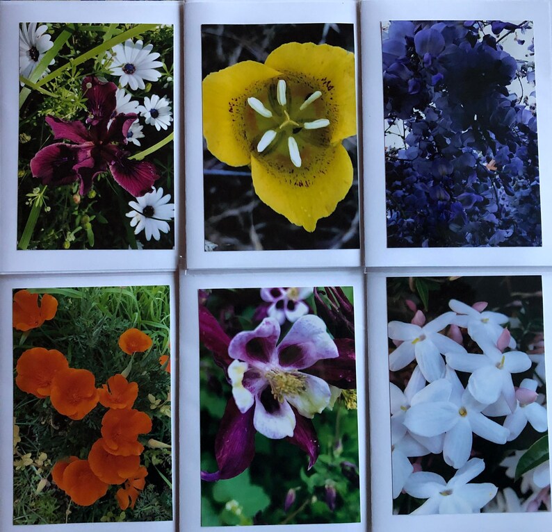 Flower Greeting Cards set of 6 Flowers 4