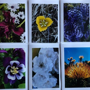 Flower Greeting Cards set of 6 Flowers 3