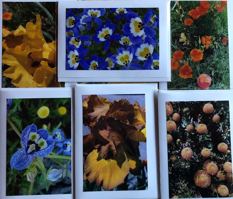 Flower Greeting Cards set of 6 Flowers 5