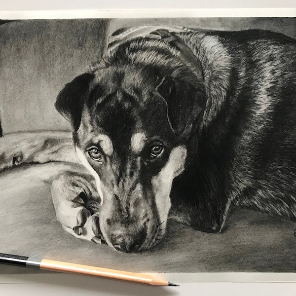 Customized Hand Drawn Graphite/Charcoal Pet Portraits