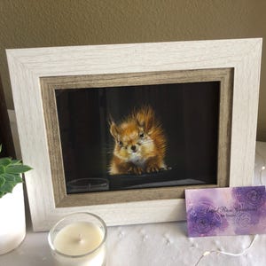 Peeking Squirrel Art Print, Giclée Art Print, Cute Squirrel Portrait, Squirrel Drawing, Animal Lover, Animal Artwork, Wildlife