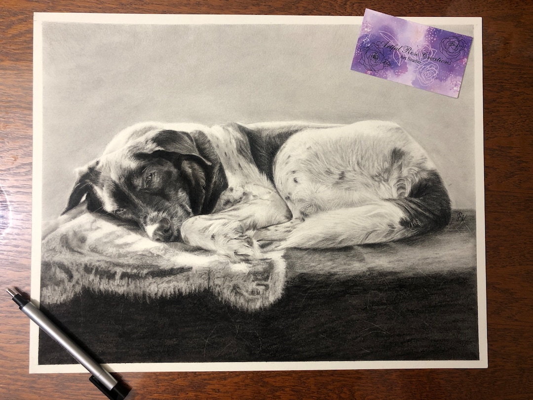 CUSTOM Hand Drawn Graphite Charcoal Pet Portraits From Photo ...