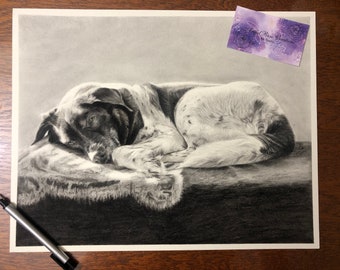 May include: A monochrome charcoal drawing of a dog, featuring a spotted coat, lying down on a textured surface. The artwork is signed and includes a business card with text. The dog is mostly white with black markings.
