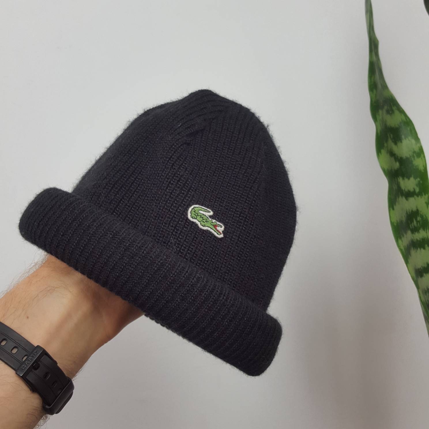 Lacoste classic beanie hotsell