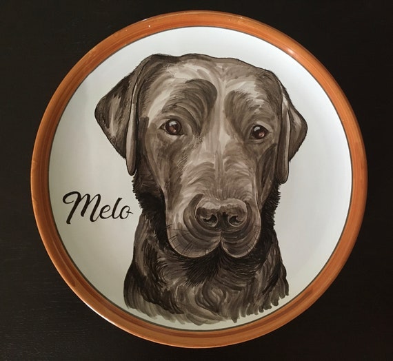 dog on a plate
