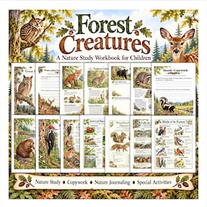 Könnte beinhalten: Ein Arbeitsheft über Waldtiere für Kinder mit mehreren Seiten, die Illustrationen von Eulen, Hirschen, Füchsen, Kaninchen, Bären, Waschbären, Stinktieren, Bibern, Spechten sowie verschiedenen Insekten, Vögeln und Waldtieren mit Text enthalten.