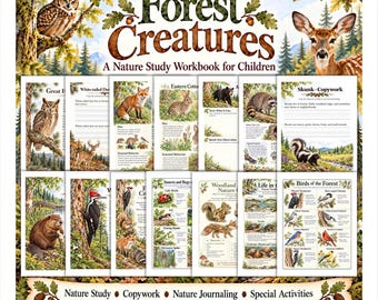 May include: A Forest Creatures nature study workbook for children featuring multiple pages with illustrations of owls, deer, foxes, rabbits, bears, raccoons, skunks, beavers, woodpeckers, and various insects, birds, and woodland animals with text.