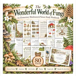 Puede incluir: The Wonderful World of Fungi es un libro de ejercicios de 80 páginas sobre hongos y estudio de la naturaleza. La portada presenta ilustraciones de varios hongos, helechos y hojas de roble, con texto sobre estudio de la naturaleza, anatomía, ciclos de vida, poesía y actividades prácticas.