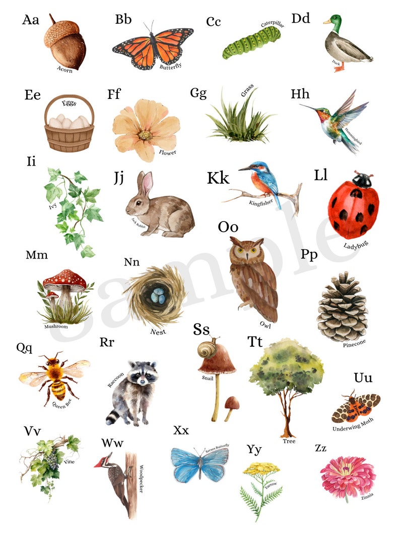 Nature Alphabet Art Print: Homeschool Decor (digital Download) - Etsy
