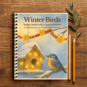 Può includere: Un quaderno a spirale intitolato "Winter Birds" con un'illustrazione ad acquerello di una casetta per uccelli, un uccello e decorazioni festive. Due matite e un rametto di verde sono accanto al quaderno su una superficie di legno.
