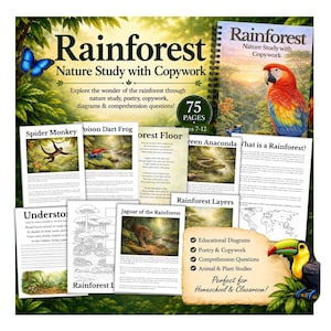 以下が含まれることがあります： 「Rainforest Nature Study with Copywork」というタイトルのスパイラル綴じの学習ワークブック。75ページのテキストとイラストで構成されています。表紙にはコンゴウインコ、青い蝶、オオハシが描かれており、クモザル、ジャガー、アナコンダなどの動物が紹介されているページが含まれています。