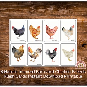 8 Cartes Flash de races de poulets d’arrière-cour inspirées de la nature Téléchargement instantané, École à la maison, Étude de la nature, Jeu d’association
