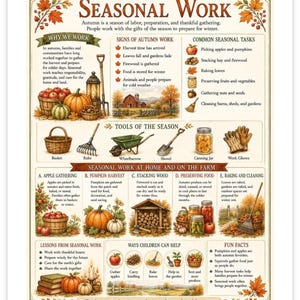 May include: A decorative educational poster titled Seasonal Work, featuring illustrations of autumn harvest activities, tools, and tasks. The print includes sections on farm work, apple gathering, pumpkin harvest, wood stacking, and food preservation.