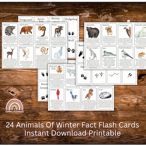 24 cartões flash de fatos sobre animais no inverno, download instantâneo, educação em casa, estudo da natureza, jogo de correspondência de animais e pegadas