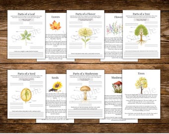 Plant & Nature Diagram Copywork: Homeschool Science Printables (PDF)