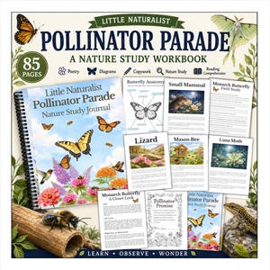 Bestäuberparade – Naturkunde für Kinder | Schmetterlinge, Bienen & Kolibris – Unterrichtseinheit | Arbeitsbuch für Homeschooling und Schule