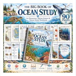 Könnte beinhalten: Ein spiralgebundenes Arbeitsbuch mit dem Titel The Big Book of Ocean Study: An Elementary Marine Science & Nature Study Workbook, das Illustrationen einer Meeresschildkröte, eines Wals, eines Leuchtturms und eines Korallenriffs zeigt.
