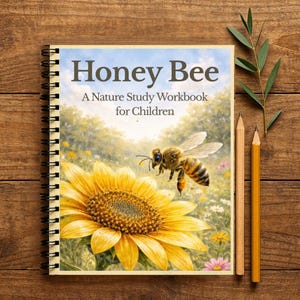 Peut inclure: Un cahier à spirales intitulé "Honey Bee: A Nature Study Workbook for Children". La couverture présente une illustration détaillée d'une abeille en vol près d'un tournesol. Deux crayons et une brindille de verdure sont sur une surface en bois.
