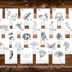 26 páginas de prática de escrita e coloração do alfabeto inspiradas na natureza 8,5x11 tamanho carta Homeschool, Nature Study, Charlotte Mason Inspired