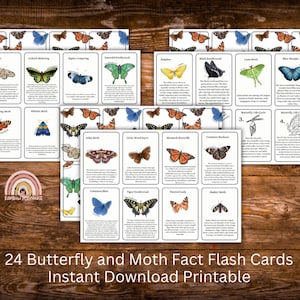 24 Tarjetas flash de datos sobre mariposas y polillas Descarga instantánea, Educación en el hogar, Estudio de la naturaleza, Juego de correspondencias