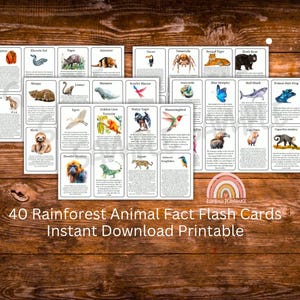 40 Rainforest Animal Fact Flash Cards direct downloaden, homeschool, matching game, Charlotte Mason Style Learning, regenwoud natuurstudie