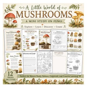 Może przedstawiać: Zbiór 12 stron edukacyjnych zatytułowanych A Little World of Mushrooms: A Mini Study on Fungi. Zestaw zawiera ilustrowane diagramy, wykresy cyklu życia, arkusze anatomiczne oraz strony do szkicowania przedstawiające różne gatunki grzybów w kolorze.