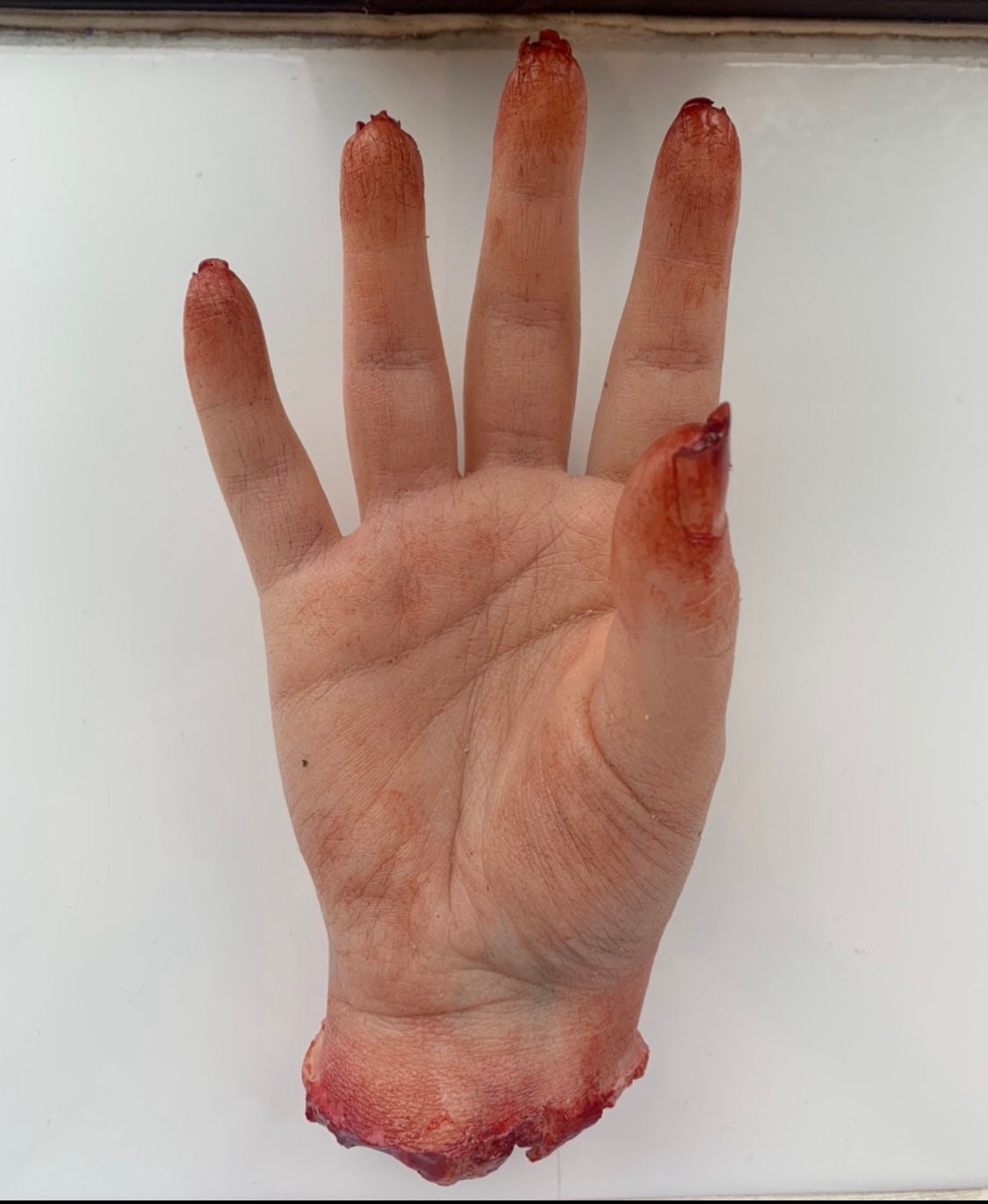 Severed Female Hand / Cut off Female Hand - Etsy Hong Kong