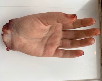 Severed Female Hand / Cut off Female Hand