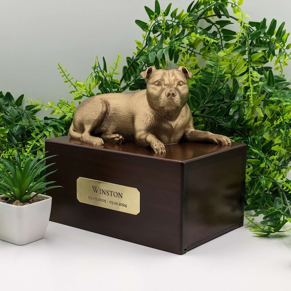 Boîte à cendres de luxe pour Staffordshire Bull Terrier | Urne à cendres du Staffordshire Bull Terrier | Urne à cendres de chien | Urne pour animaux de compagnie | Plaque nominative personnalisée en laiton.