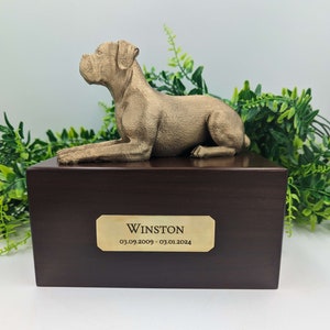 Pode incluir: Uma urna de madeira para animais de estimação com uma figura de cão Boxer dourada no topo. A urna tem uma placa de latão com o nome "Winston" e as datas "03.09.2009 - 03.01.2024".