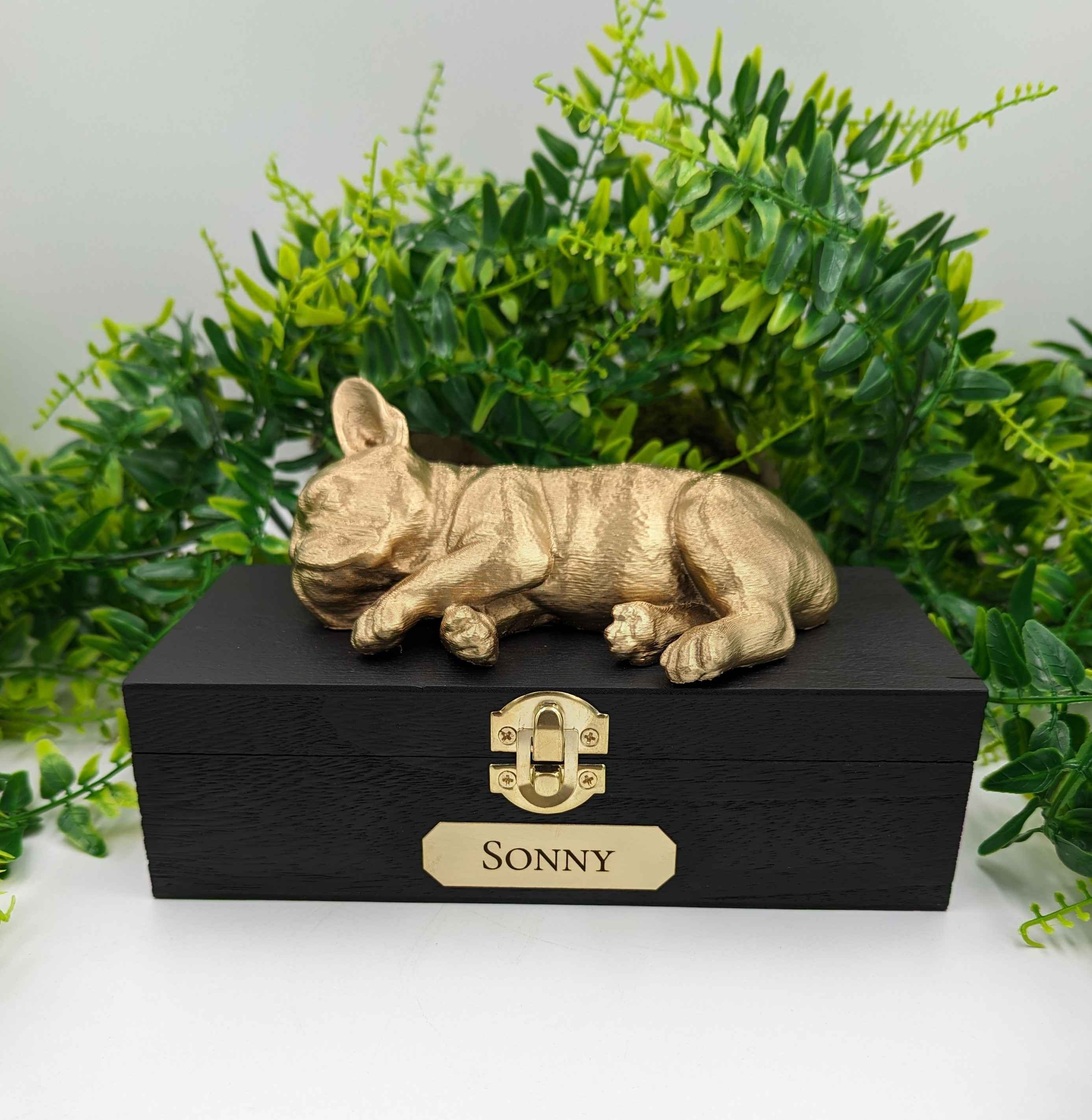 Luxury French bulldog Ashes Box | French bulldog Ashes Urn | Dog Ashes Urn | Pet Urn | Custom name plaque