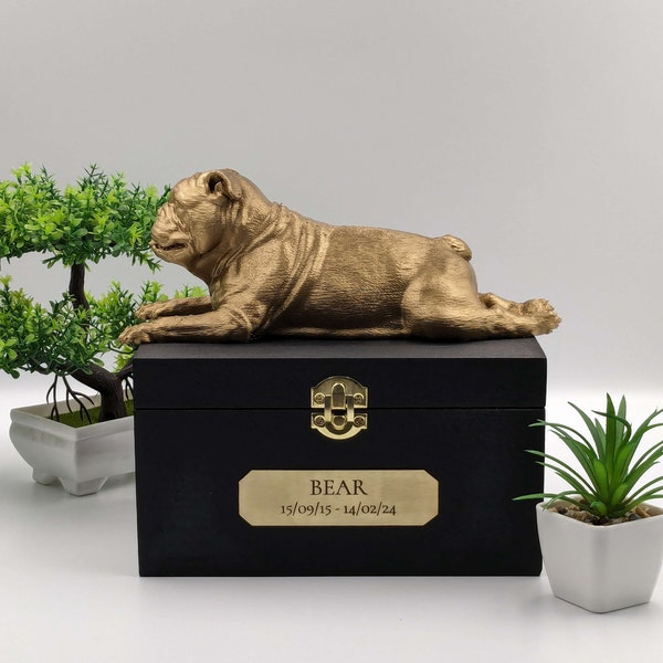 Luxuriöse englische Bulldogge-Box | Englische Bulldogge Asche Urne | Urne für Hundeasche | Haustierurne | Individuell graviertes Namensschild.