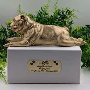 Op de afbeelding: Gouden beeldje van een liggende mopshond op een witte doos. De doos heeft een gouden plaquette met de inscriptie "Alfie, Always in our hearts, Never forgotten, 28th January 2010 - 7th August 2024".