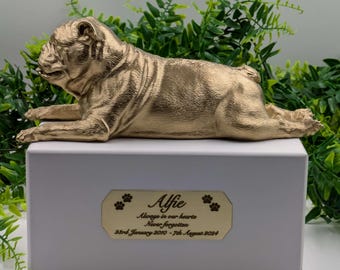 Luxury English Bulldog Ashes Box | English Bulldog Ashes Urn | Dog Ashes Urn | Pet Urn | Custom brass name plaque.