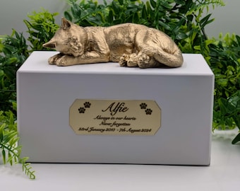 Könnte beinhalten: Eine goldfarbene Katzenfigur ruht auf einer weißen Box. Die Box hat eine goldene Plakette mit dem Namen "Alfie", Pfotenabdrücken und Daten. Die Katze liegt entspannt. Im Hintergrund befindet sich grünes Laub.