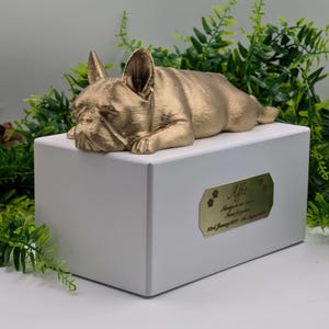 Luxury French Bulldog Ashes Box | French Bulldog Ashes Urn | Dog Ashes Urn | Pet Urn | Custom brass name plaque.