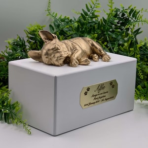 Luxury French Bulldog Ashes Box | French Bulldog Ashes Urn | Dog Ashes Urn | Pet Urn | Custom brass name plaque.