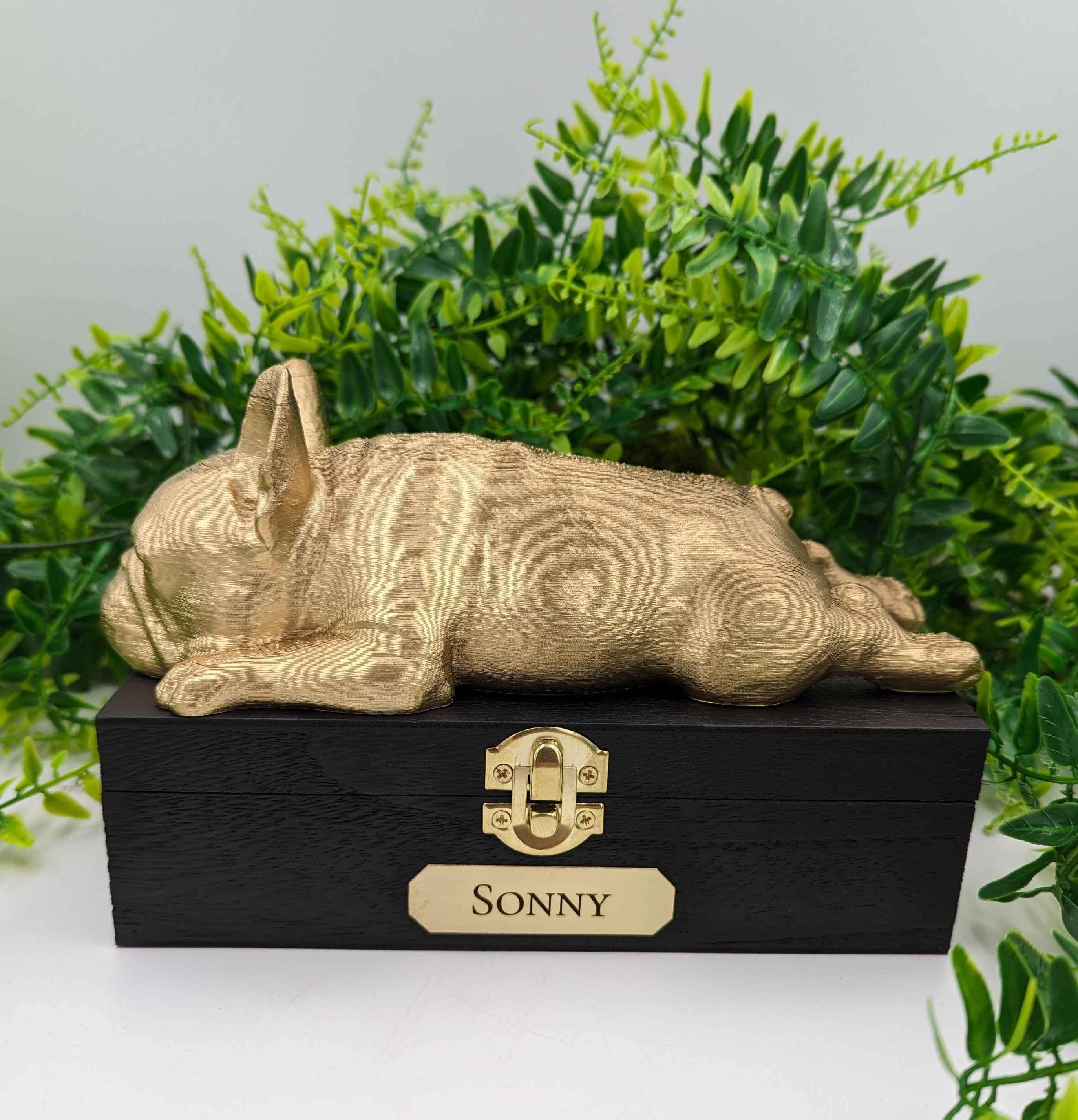 Duuclume Boîte Souvenir Poils Animaux – Pochette Personnalisée Patte Chien/Chat + Porte-Clés Cuir – Mémoire Éternelle